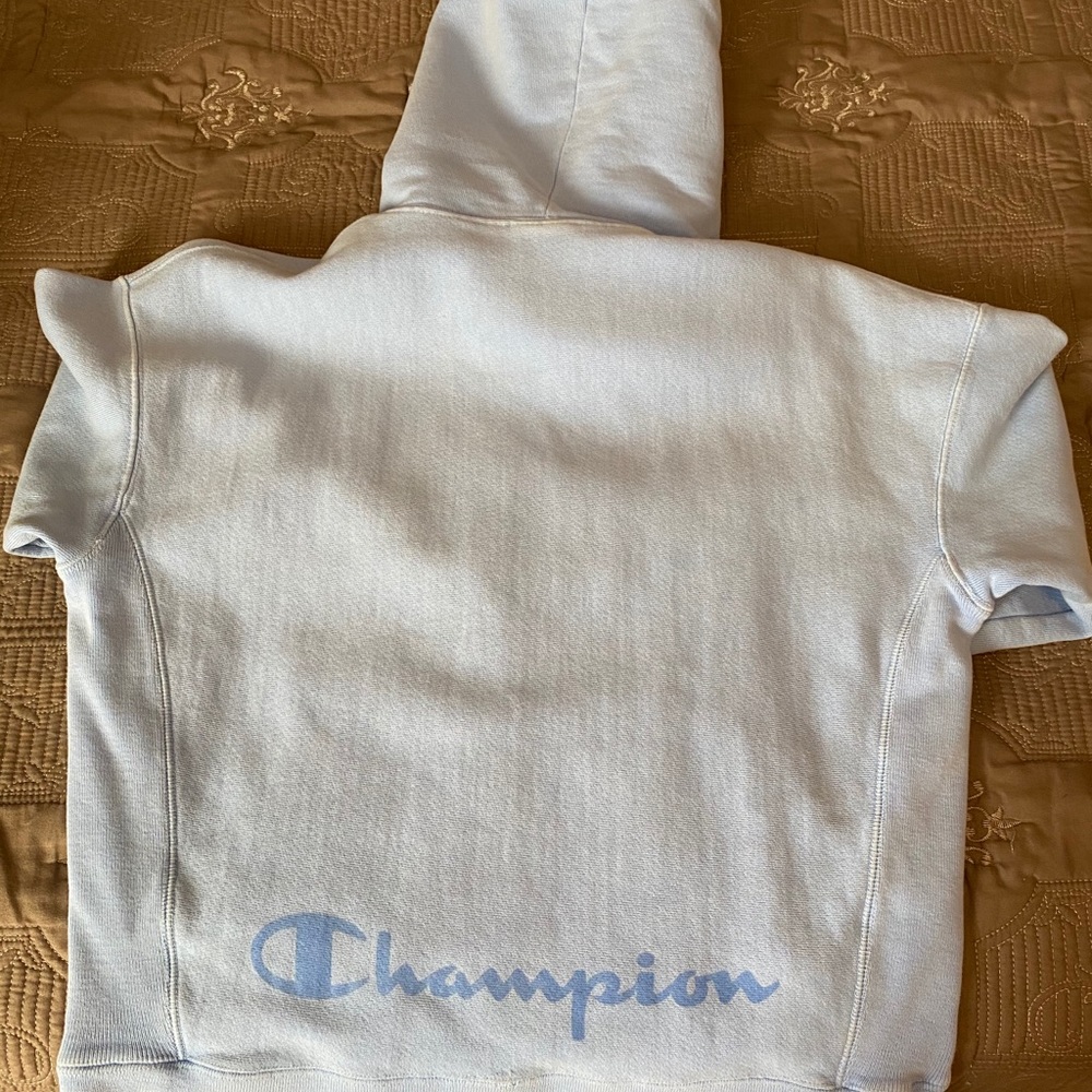 Champion hoodie